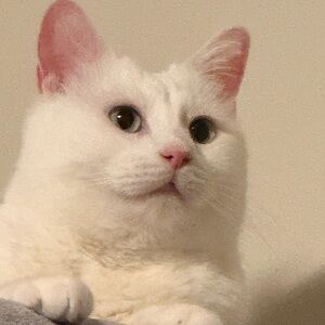 Meet your Posher, Mary